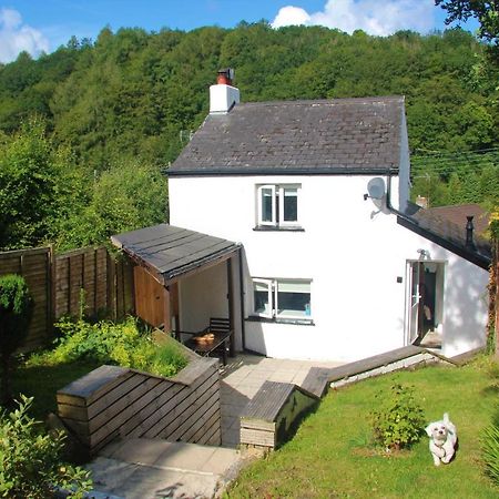 Peacock Cottage Cinderford Exterior foto
